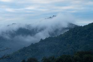 BIB: 
                            <button type="button" onclick="openModal(22795727)" class="btn btn-primary btn-sm float-right btn-popup" data-toggle="modal" data-target=".modal-high-quality">
                        <i class="fas fa-shopping-cart"></i> Add to Cart
                    </button>
                                            <button type="button" onclick="isThisMe(22795727, true)" class="btn btn-success btn-sm float-right btn-popup btn-isme hidden" data-toggle="tooltip" data-placement="bottom" title="นี่คือรูปของคุณใช่ไหม คลิกที่นี่เพื่อเอาเข้าอัลบั้ม">
                        <i class="fas fa-plus"></i> Add to album
                    </button>
                    <button type="button" onclick="isThisMe(22795727, false)" class="btn btn-warning btn-sm float-right btn-popup btn-isnotme hidden">
                        <i class="fas fa-ban"></i> Remove from album
                    </button>